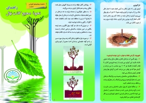 صفحه اول کاشت نهال 300x212 - بروشور کاشت نهال
