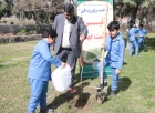 همزمان با روزدرختکاری، دانش آموزان آملی درکنار مسئولان شهری درخت کاشتند