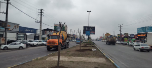 توسعه فضای سبز در اطراف میدان هزارسنگر photo24431571239 300x135 - توسعه فضای سبز در اطراف میدان هزارسنگر