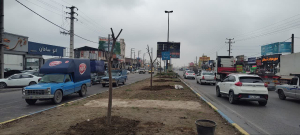 توسعه فضای سبز در اطراف میدان هزارسنگر photo24431571272 300x135 - توسعه فضای سبز در اطراف میدان هزارسنگر