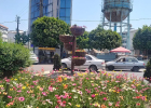🌺 طراوات و زیبایی بلوارها و میادین شهری آمل با جانمایی گلدان های اطلسی
