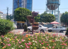 🌺 طراوات و زیبایی بلوارها و میادین شهری آمل با جانمایی گلدان های اطلسی