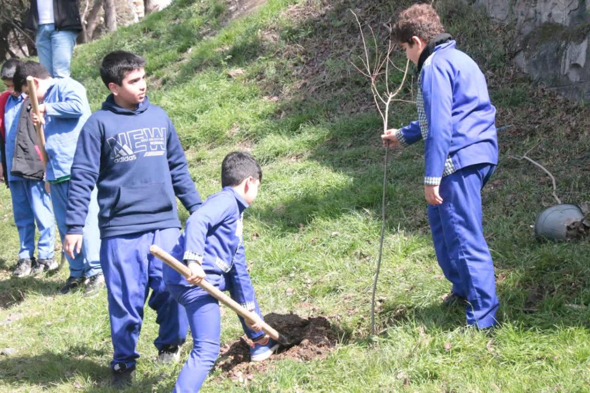 پارک آلاله 7 - کاشت نهال توسط دانش آموزان در روز درختکاری