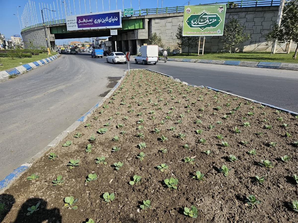 1402 07 23گزارش2 - نشاء بلوار کارگر-1402/07/23