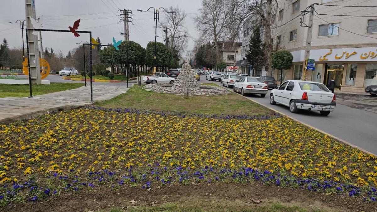 photo10432670486 - رایحه خوش بهاری با تنوع گلهای زینتی در سیمای شهری آمل