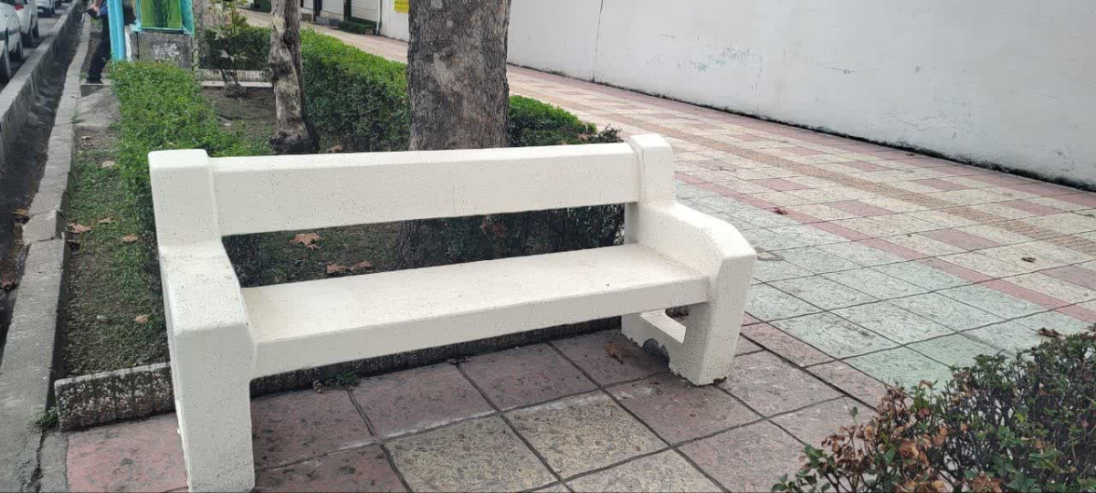 photo20375605228
