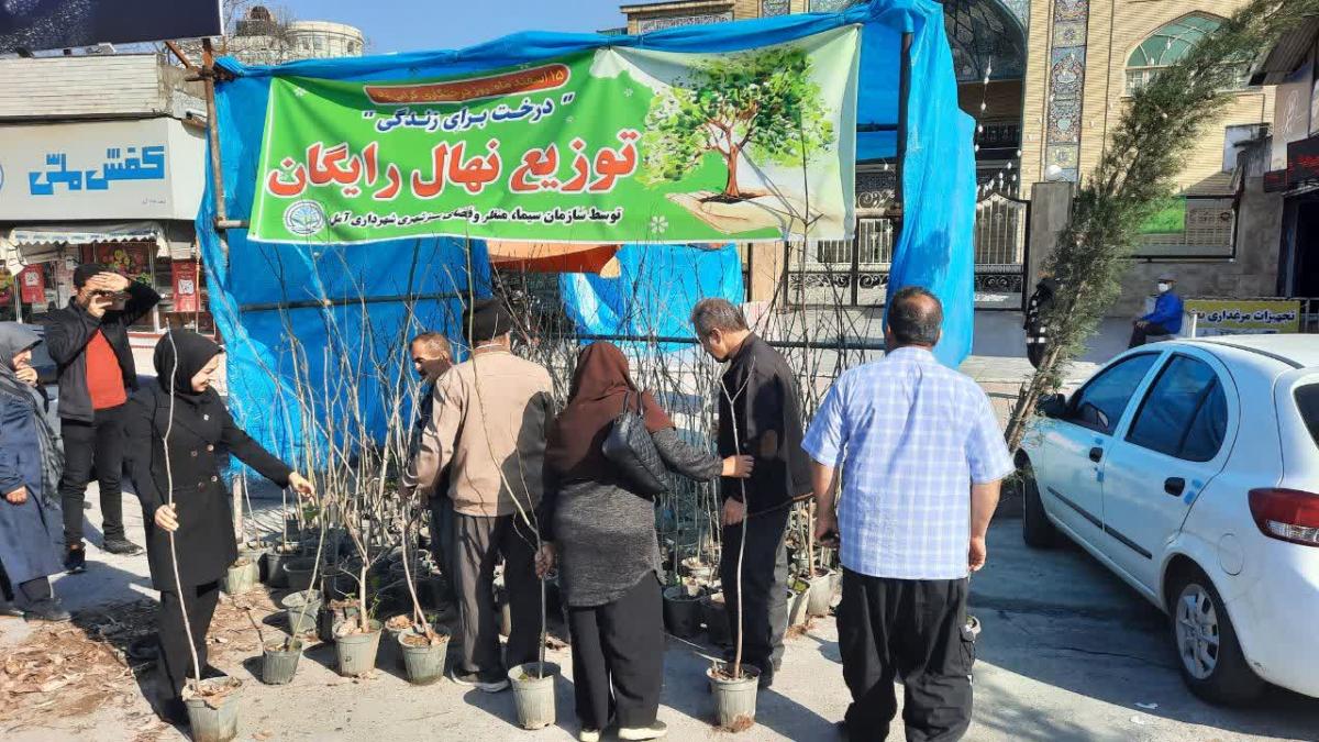 photo3780177889 - توزیع نهال رایگان میان شهروندان آملی به مناسبت هفته درختکاری