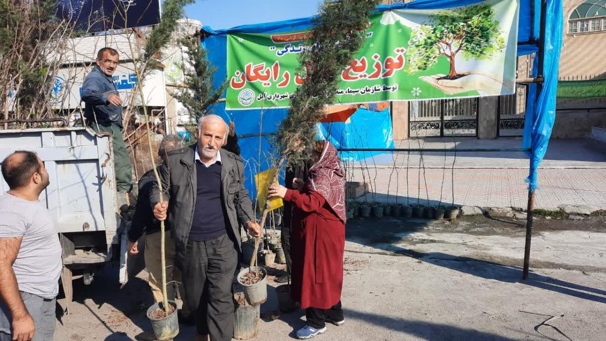 photo3780178235 - توزیع نهال رایگان میان شهروندان آملی به مناسبت هفته درختکاری