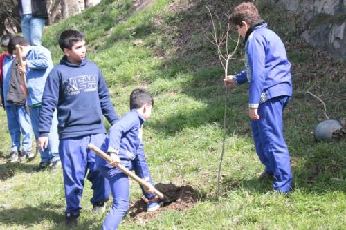 پارک آلاله 7 - گزارش-آلاله کاشت درخت دانش آموزان