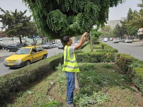 1402 06 19 هرس 1 - هرس-19-06-1402