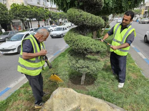 1402 06 19 هرس - هرس-19-06-1402