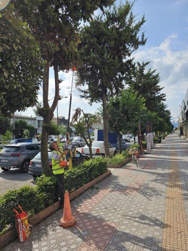 1402 07 22گزارش 10 - هرس بلوار آزادگان و بلوار طالقانی-1402/07/22