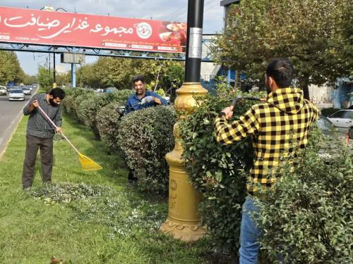 1402 07 22گزارش 6 - هرس بلوار آزادگان و بلوار طالقانی-1402/07/22