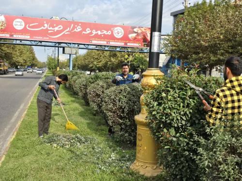 1402 07 22گزارش 7 - هرس بلوار آزادگان و بلوار طالقانی-1402/07/22