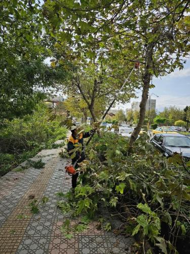 1402 07 22گزارش8 - هرس بلوار آزادگان و بلوار طالقانی-1402/07/22