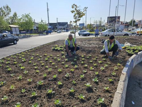 1402 07 23گزارش - نشاء-1402/07/23