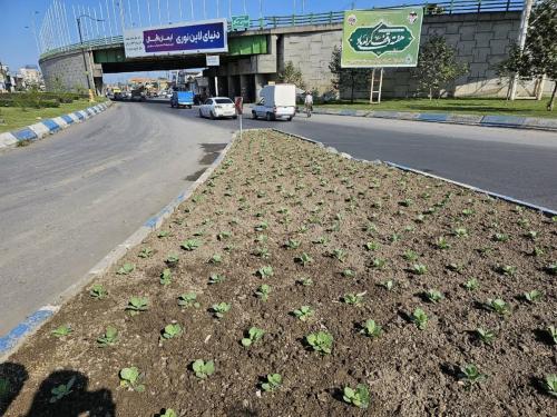 1402 07 23گزارش2 - نشاء-1402/07/23