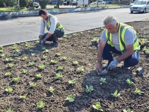 1402 07 23گزارش4 - نشاء-1402/07/23