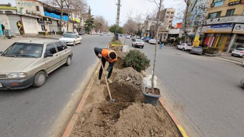 20250119 140904 scaled - انبر نسا-1403-12-6