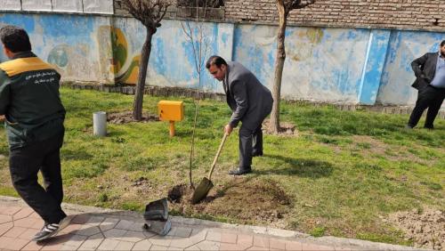 photo17503629384 - درختکاری-1403