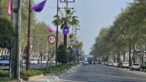 photo17877839292 - فطر 1404