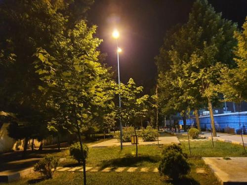 photo4887100775 - بهسازی روند روشنایی پارک های شهری آمل