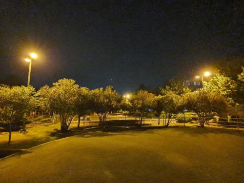photo4887100787 - بهسازی روند روشنایی پارک های شهری آمل