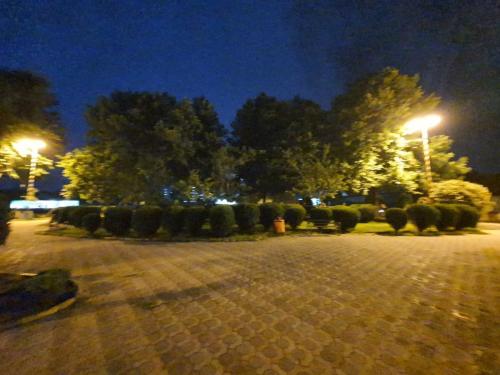 photo4887100835 - بهسازی روند روشنایی پارک های شهری آمل