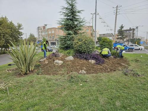 photo664380053گزارش 7 - وجین--20-06-1402