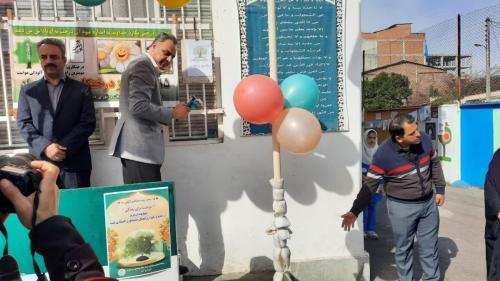 درختکاری-1