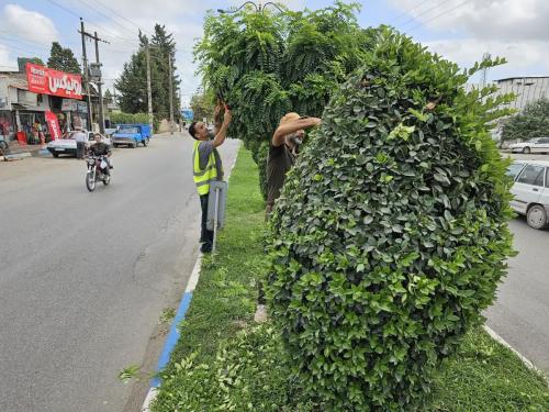 هرس امام علی 26 06 1402 2 - هرس-26-06-1402