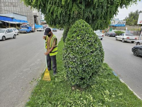 هرس امام علی 26 06 1402 - هرس-26-06-1402