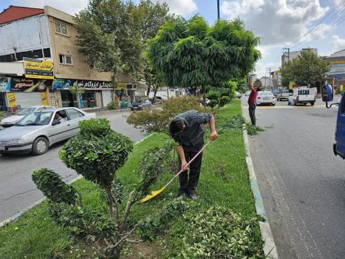 هرس منفرد2 26 06 1402 - هرس-26-06-1402