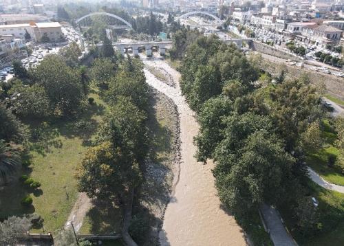 پارک آلاله 1 - گزارش-آلاله کاشت درخت دانش آموزان