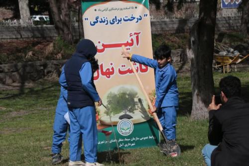 پارک آلاله 3 - گزارش-آلاله کاشت درخت دانش آموزان