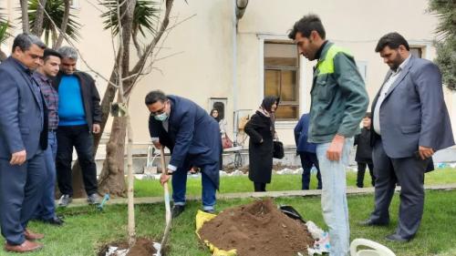 کاشت نهال به یاد نخستین شهردار 1 - گزارش-کاشت نهال یه یاد نخستین شهردار