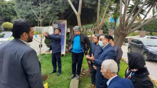 کاشت نهال به یاد نخستین شهردار 2 - گزارش-کاشت نهال یه یاد نخستین شهردار