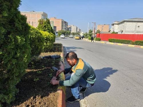 گزارش 1402 08 213 - کاشت نشاء-1402/08/21