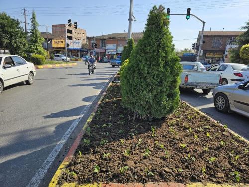 گزارش 1402 08 214 - کاشت نشاء-1402/08/21