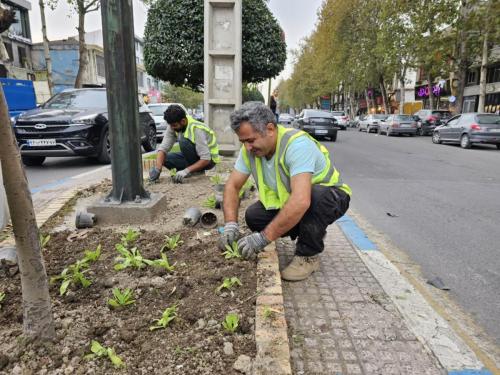 گزارش 1402 08 243 - گزارش-1402/08/24