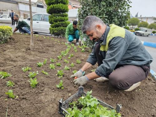 گزارش 1402 08 245 - گزارش-1402/08/24