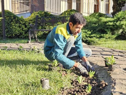 گزارش کاشت پارک شهرداری 1402 08 15 - کاشت نشاء در سطح شهر-1402/08/15