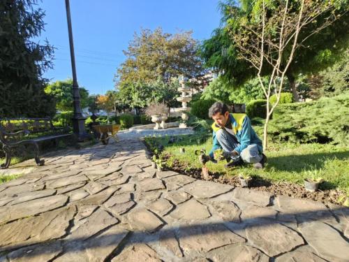 گزارش کاشت پارک شهرداری2 1402 08 15 - کاشت نشاء در سطح شهر-1402/08/15