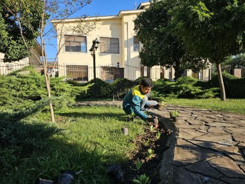 گزارش کاشت پارک شهرداری3 1402 08 15 - کاشت نشاء در سطح شهر-1402/08/15