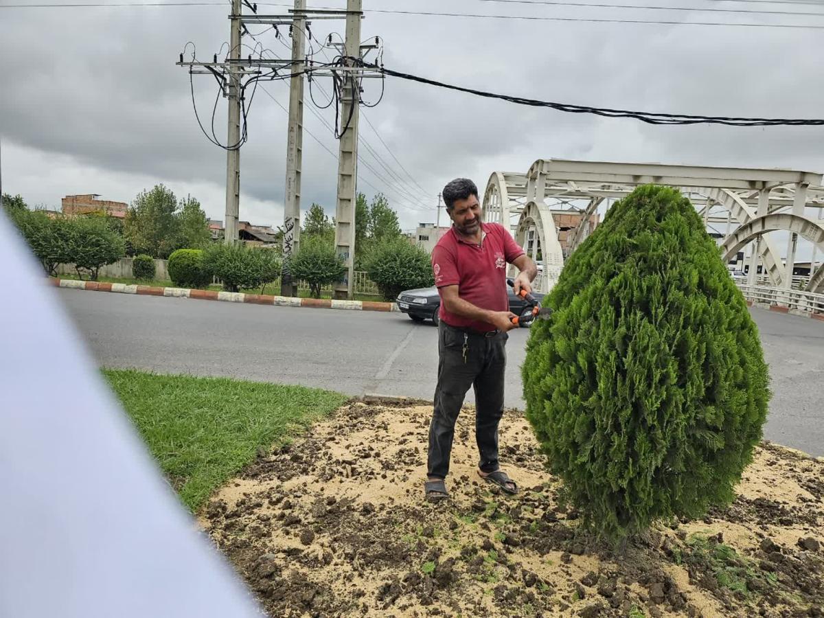 هرس 27 06 1402 - هرس بلوار آزادگان-1402/06/27