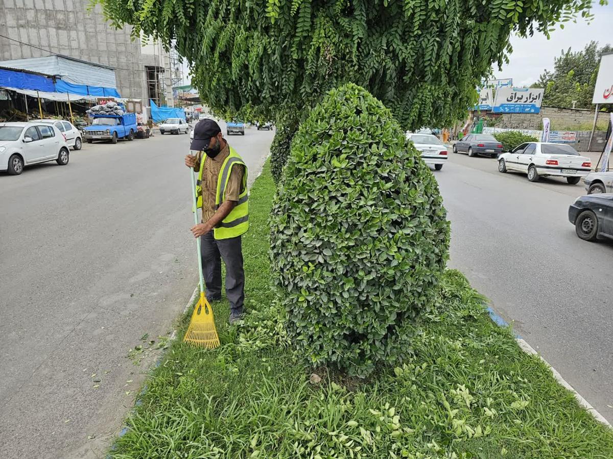 هرس امام علی 26 06 1402 - هرس بلوار امام علی و منفرد -26-06-1402