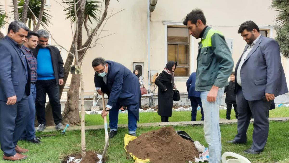 کاشت نهال به یاد نخستین شهردار 1 - کاشت نهال به یاد نخستین شهردارآمل