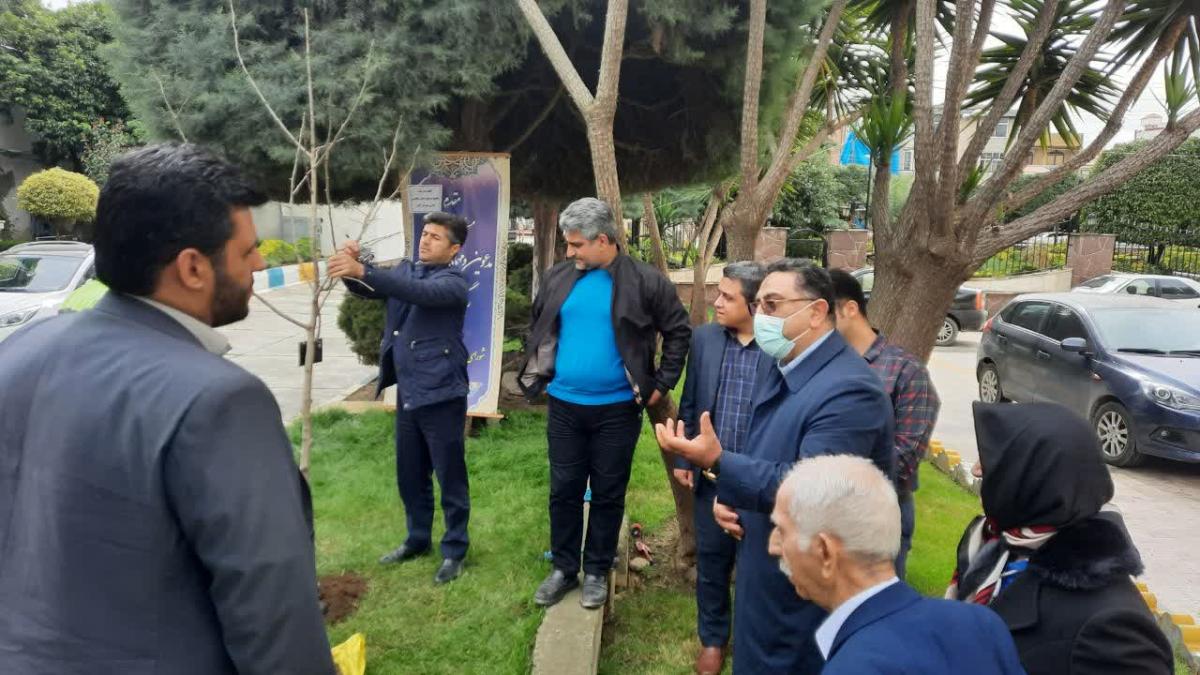 کاشت نهال به یاد نخستین شهردار 2 - کاشت نهال به یاد نخستین شهردارآمل