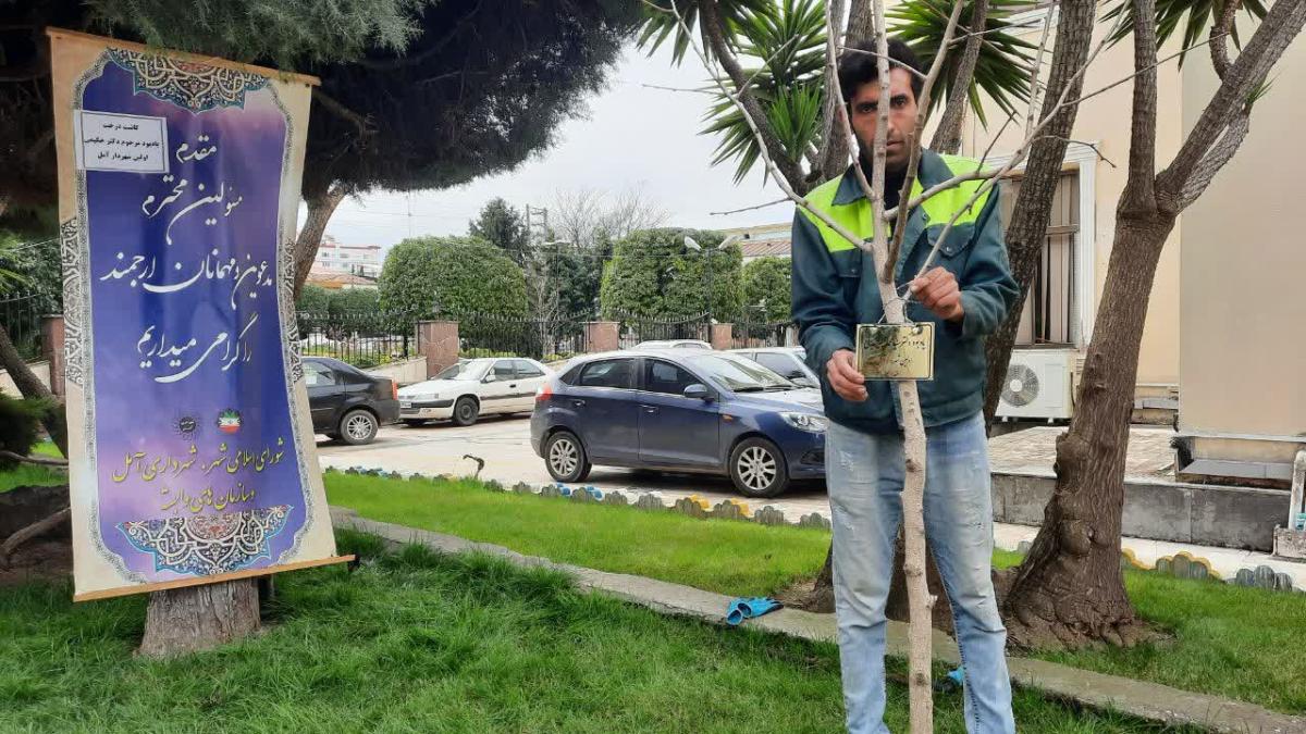کاشت نهال به یاد نخستین شهردار 4 - کاشت نهال به یاد نخستین شهردارآمل
