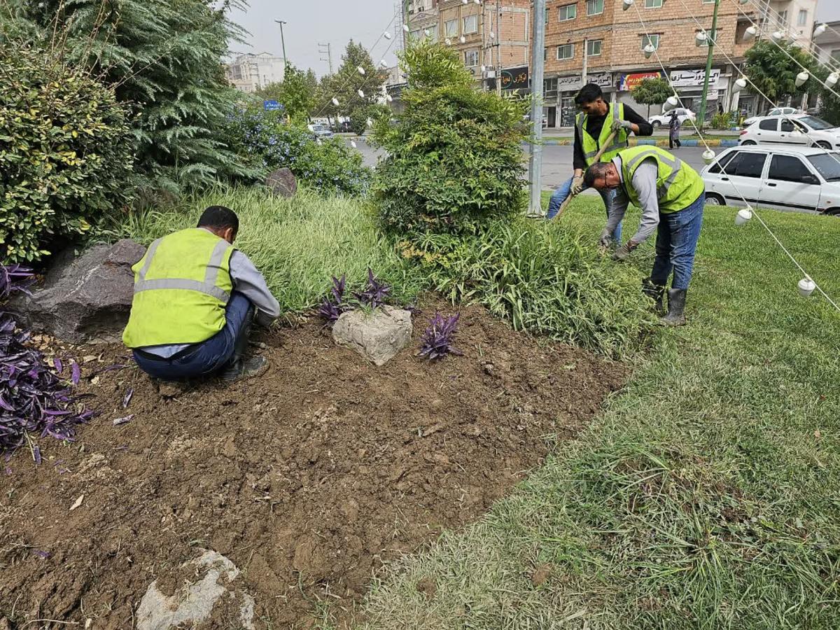 گزارش 1 - وجین بلوار منفرد امیر 8